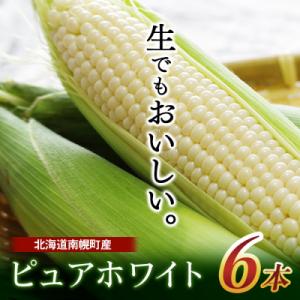 令和8年発送 北海道産 とうもろこし ピュアホワイト 6本 /一番果 とうきび 産地直送