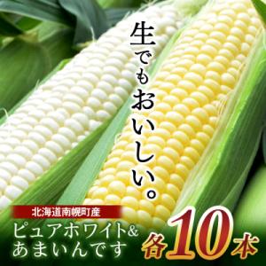 令和8年発送 北海道産 とうもろこし ピュアホワイト10本&あまいんです10本 計20本