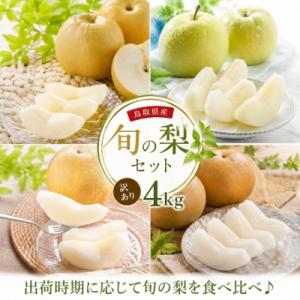 【訳あり】鳥取県産旬の梨セット 4kg