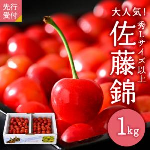 ふるさと納税 河北町 <先行>令和5年産さくらんぼ「佐藤錦」秀L以上1kg