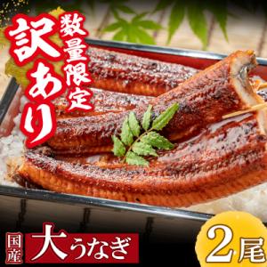 ふるさと納税 福智町 国産うなぎ蒲焼2尾(計350g以上)鰻蒲焼用タレ・山椒付