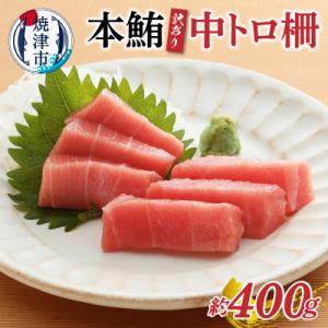 ふるさと納税 焼津市 訳あり 本まぐろ 中とろ 刺身用約600g(a10-866)