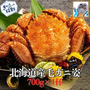 北海道産毛ガニ　約500～650g×1杯★