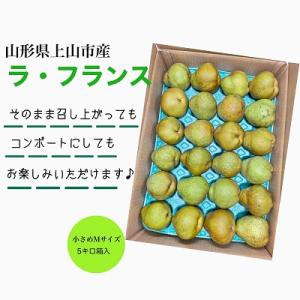 ふるさと納税 上山市 西洋梨(ラ・フランス)5kg　Mサイズ　ご家庭用　0055-2416