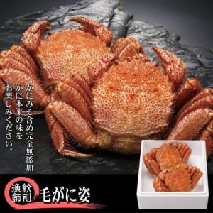 ふるさと納税 紋別市 【北海道紋別産】毛がに姿 2尾計約800g　【無添加】 (かに 毛がに 高品質)｜さとふる