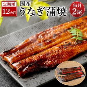 ふるさと納税 薩摩川内市 【12カ月定期便】 九州産うなぎ蒲焼(約170g×2尾×12回) KS-1...