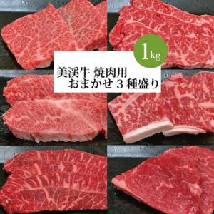 ふるさと納税 勝浦町 美渓牛 焼肉 おまかせ3種 1kg