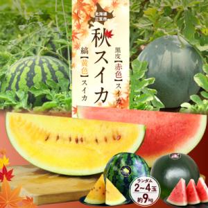 ふるさと納税 八千代町 【先行受付 2026年5月下旬以降発送】 小玉