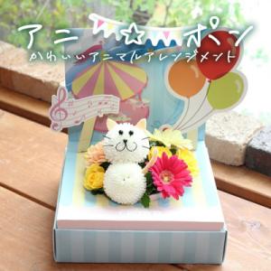 ふるさと納税 石巻市 アニ☆ポン(ネコ)の商品画像
