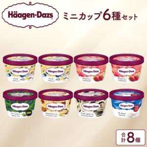 ふるさと納税 浜中町 ハーゲンダッツ『定番ミニカップ8個セット』アイスクリーム_H0016-104