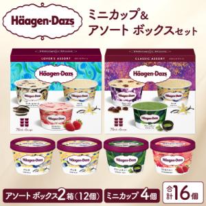 ハーゲンダッツ バラエティセット(アソート&ミニカップ)_H0026-102