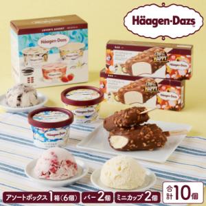 アイス ハーゲンダッツ ミニカップ2個&アソート1箱&バー2本_H0016-105