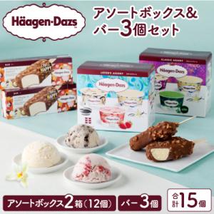 ハーゲンダッツバラエティセット(アソート&バー3本)_H0026-100