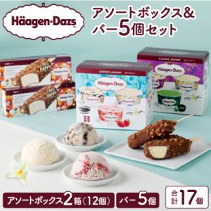 ふるさと納税 浜中町 ハーゲンダッツバラエティセット(アソート&amp;バー5本)_H0026-101
