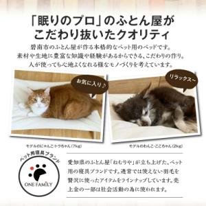 ふるさと納税 碧南市 【リアルダウン使用】 プ...の詳細画像1