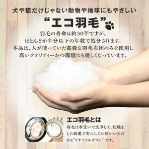 ふるさと納税 碧南市 【リアルダウン使用】 プ...の詳細画像2