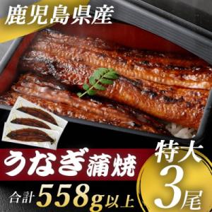 【数量限定!】鹿児島県産 特大サイズうなぎ蒲焼3尾 合計558g以上 BSR-325