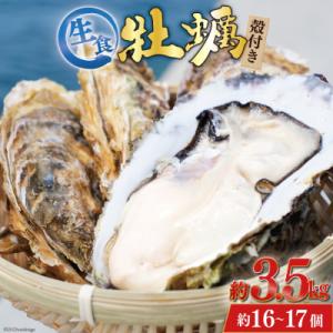 ふるさと納税 気仙沼市  牡蠣 3〜4年モノ 生食 殻付き牡蠣