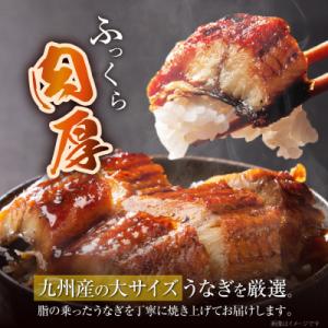 ふるさと納税 福智町 国産うなぎ蒲焼大4尾(6...の詳細画像1