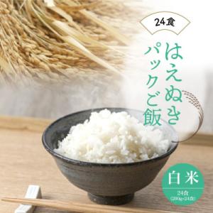 ふるさと納税 鮭川村 はえぬき　パックご飯(白米)24食