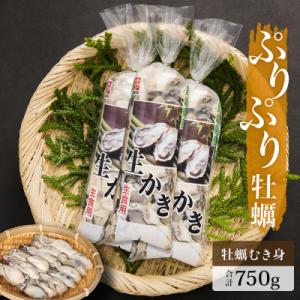 ふるさと納税 石巻市 牡蠣 宮城県産 ぷりぷり 生牡蠣 むき身 750g 生食用 カキ 冷蔵 生カキ...