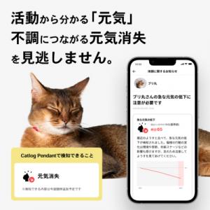 ふるさと納税 境町 【4猫様用】Catlog基...の詳細画像1
