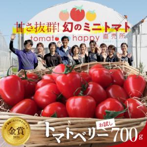 【事前受付】トマト嫌いでも食べられるトマトベリー約700g(1月～4月発送)　 H004-183