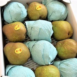 ふるさと納税 上山市 西洋梨(ラ・フランス)3.5kg　ご家庭用　0075-2221