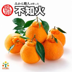 先行受付 訳あり 不知火 3kg みかん 柑橘 フルーツ 果物 みかん職人武田屋