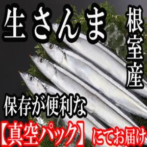 【北海道根室産】冷凍さんま20尾入り A-36003