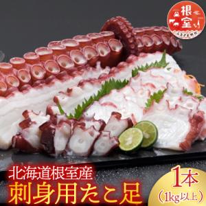 【北海道根室産】刺身用たこ足1本(1kg以上) A-14228