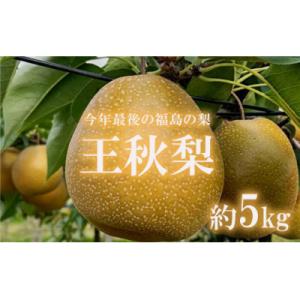 ふるさと納税 福島市 【2023年度発送】福島の梨　王秋　約5kg No.2401