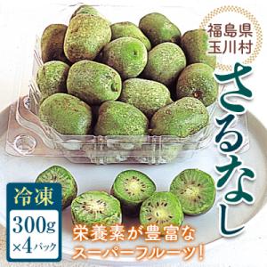 <先行受付> さるなし 冷凍 1.2kg ベビーキウイ こくわ スーパーフルーツ 福島県 玉川村