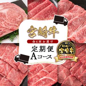 宮崎牛6ヶ月定期便Aコース 焼肉 すき焼き ステーキ[2789]