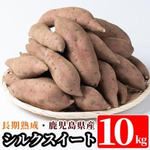 10月中旬以降発送予定<シルクスイート>土付き(10kg)【フレッシュジャパン鹿児島】A2-028
