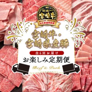 ふるさと納税 西都市 【6ヶ月定期便】宮崎牛&豚肉(宮崎県産) 焼肉 すき焼き しゃぶしゃぶC [2531]