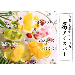 ふるさと納税 京都市 【京菓匠 鶴屋長生】京都老舗が拘るシャリぷるの新食感フルーツ葛アイスバー10個...