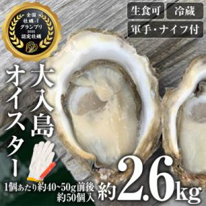 ふるさと納税 佐伯市 牡蠣1グランプリ最高金賞受賞!真ガキ 大入島オイスター<生食可・シングルシード...