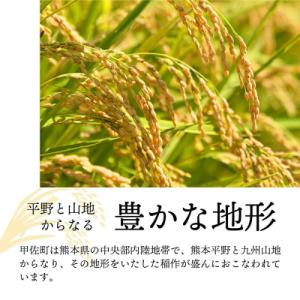 ふるさと納税 甲佐町 【定期便6ヶ月】『甲佐の...の詳細画像2