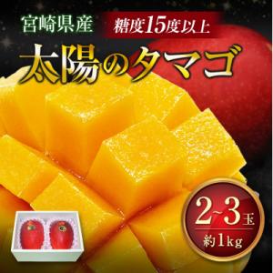 糖度15度以上『太陽のタマゴ』 約1kg 2～3玉 宮崎県産 完熟マンゴー ブランド 贈答 ギフト