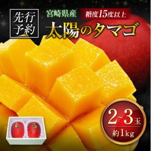ふるさと納税 宮崎県 ≪先行予約≫ 宮崎県産 完熟マンゴー「太陽のタマゴ」約1kg 計2〜3玉 2026年発送 ブランド