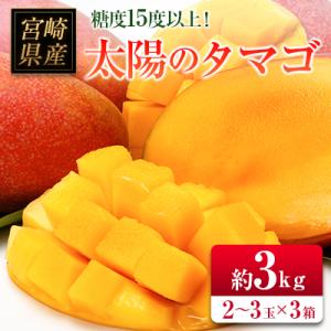 ふるさと納税 宮崎県 ◆糖度15度以上!宮崎県産 「太陽のタマゴ」(合計約3kg)