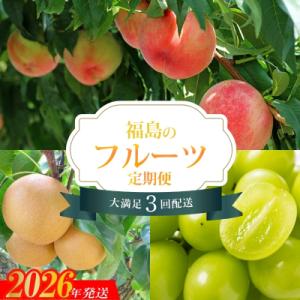 【2026年発送　先行受付分】フルーツ3種定期便No.2528