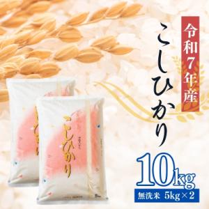 大文字屋米穀店【令和7年産】コシヒカリ精米(無洗米)1等米 10kgNo.2499