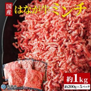 ふるさと納税 西予市 はなが牛　ミンチ　1kg　(200gx5p)