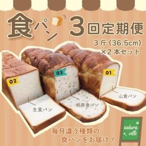 ふるさと納税 四万十市 【3回定期便】sakura ville 食パン3回定期便