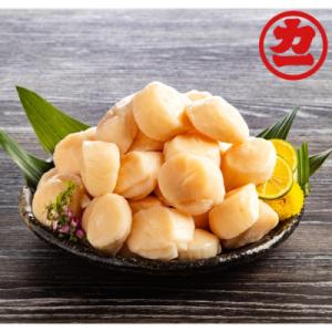 ふるさと納税 紋別市 オホーツク産ほたて貝柱特大サイズ1kg