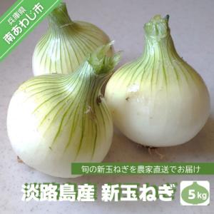 淡路島産 新玉ねぎ5kg　◆配送4月末頃～