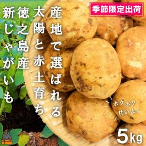《今が旬!》～これからは産地で選びたくなる～徳之島産新じゃがいも(5kg)