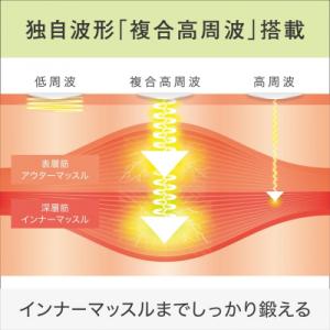 ふるさと納税 国東市 【お腹だけじゃない!貼る...の詳細画像2